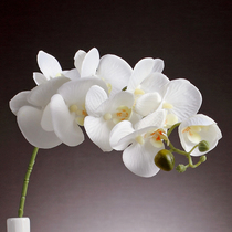 蝴蝶兰仿真花单支室内假花客厅摆设绢花餐桌装饰花卉白色干花花束